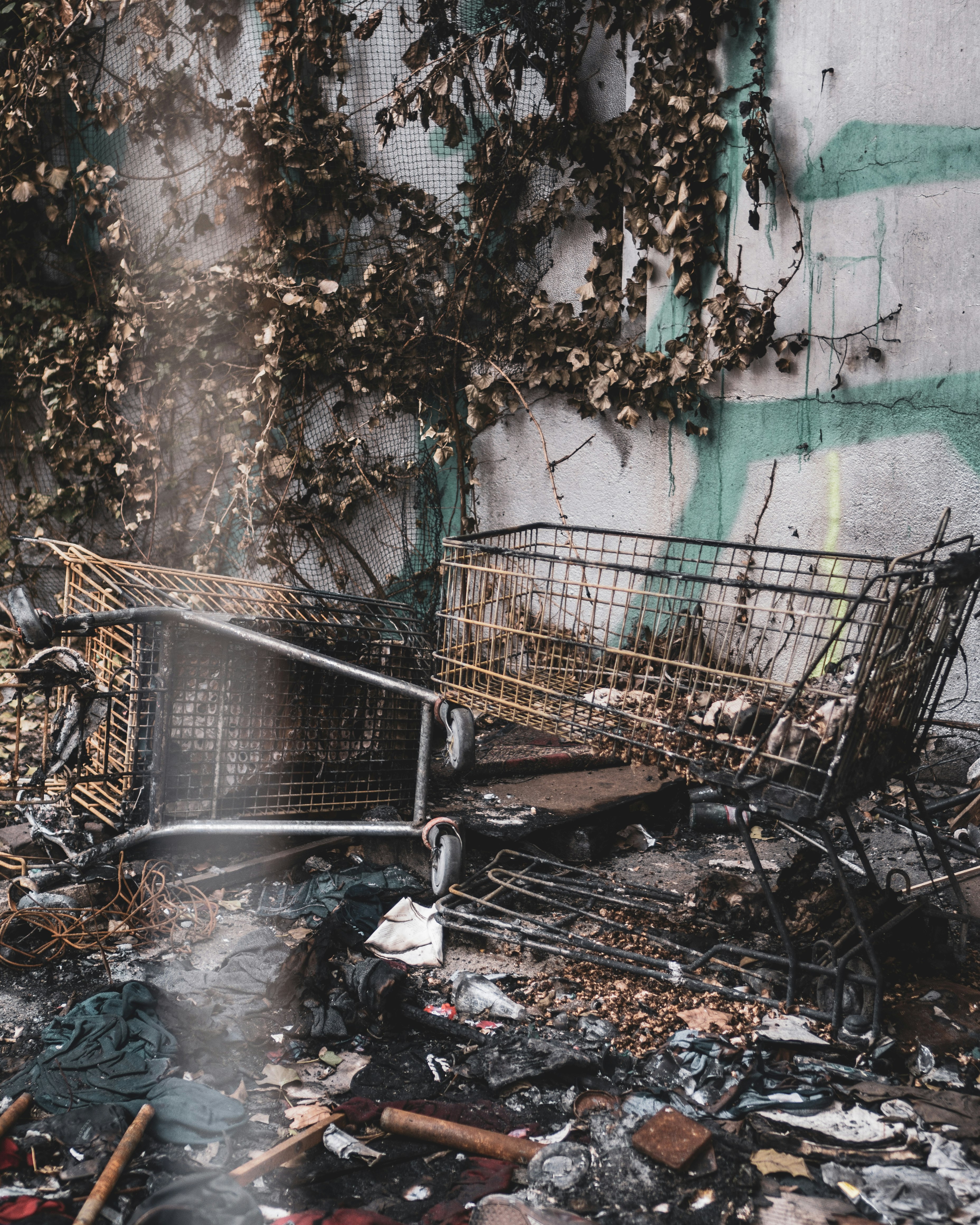 two grocery carts near wall during daytime